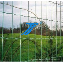 Double Wire Welded Mesh Fencing in 50X200mm